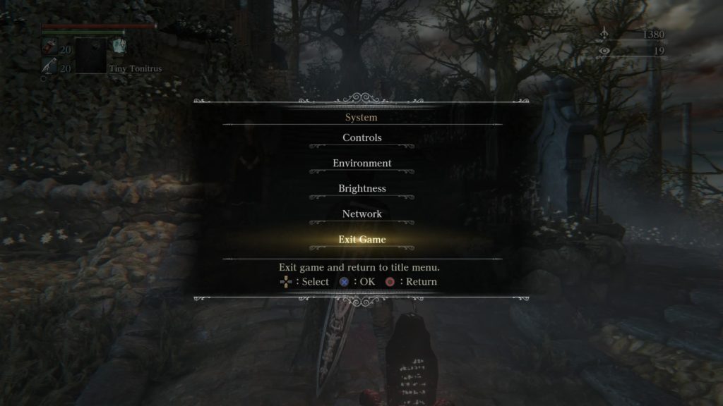 Bloodborne™_20150526203110