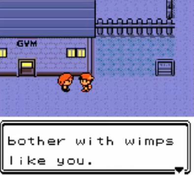 Pokemon Gold/Silver, Nintendo