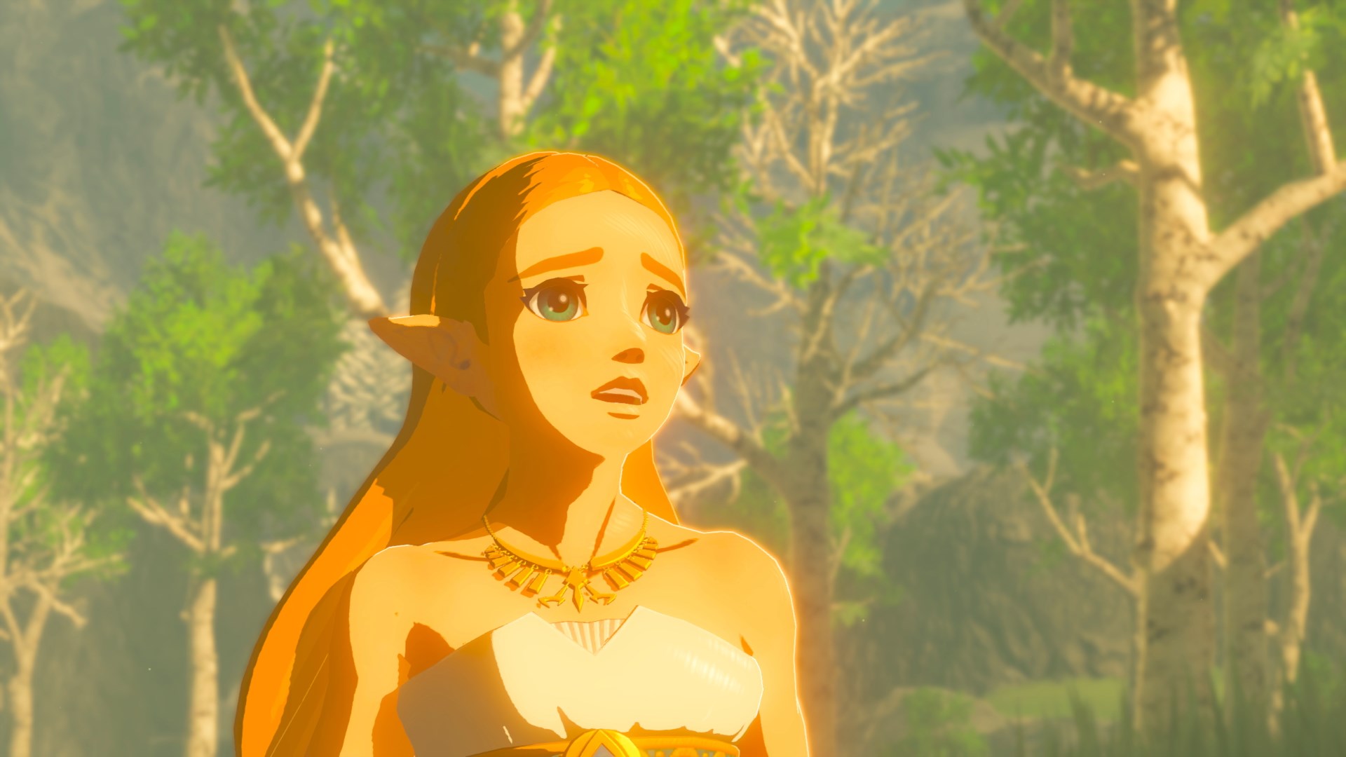 The Legend of Zelda: Breath of the Wild, Nintendo