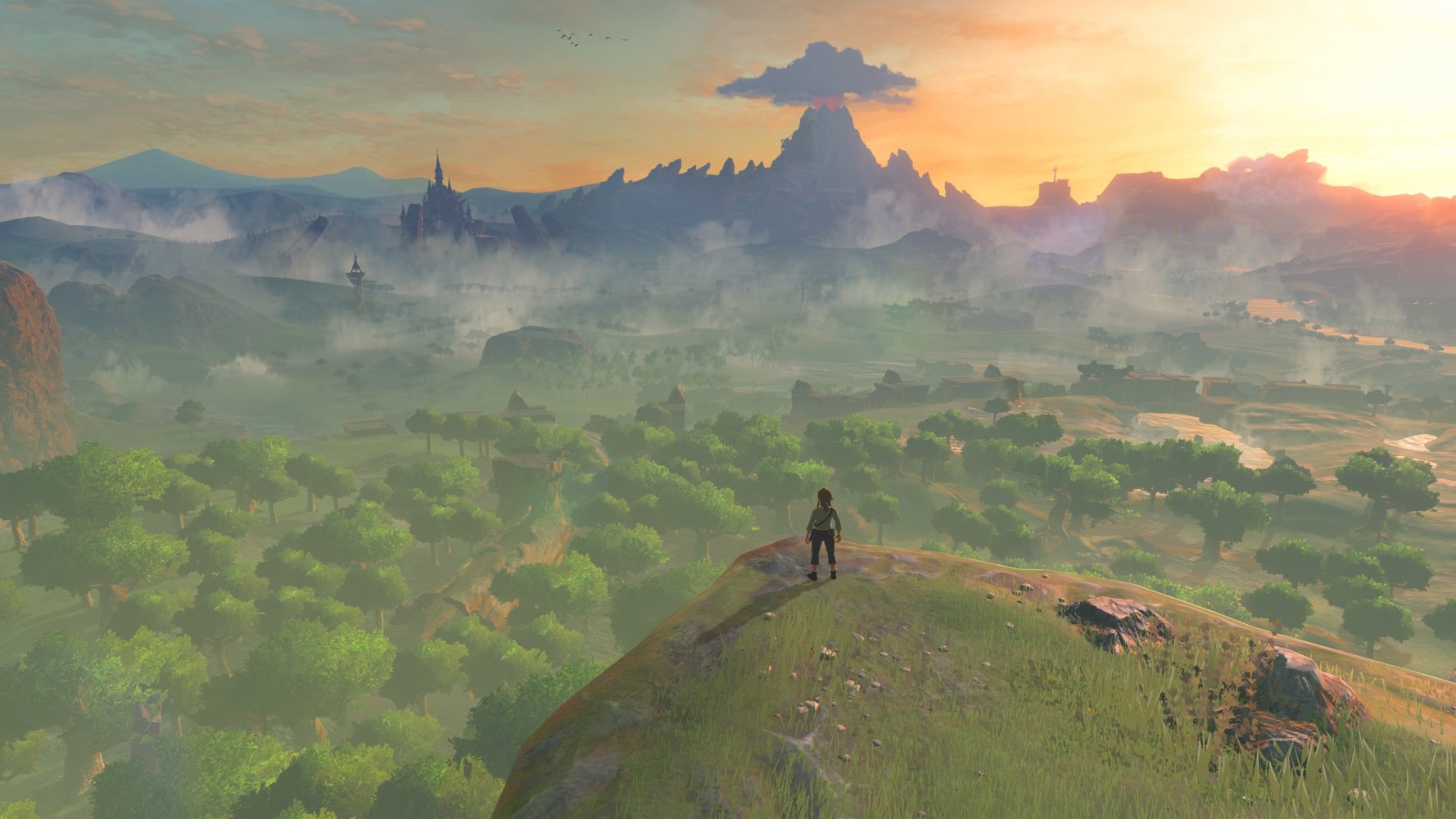The Legend of Zelda: Breath of the Wild, Nintendo