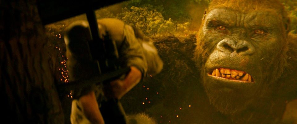 Kong_3