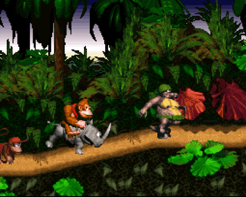 Donkey Kong Country, Nintendo