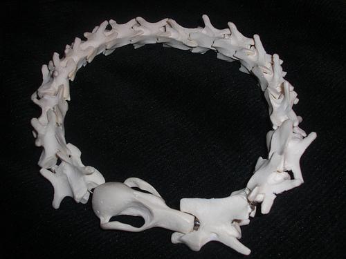 OUROBOROS NECKLACE (CC BY-ND 2.0) by Rudianos